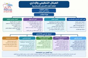 الهيكل التنظيمي والإداري لنقابة أطباء الأسنان بالإسكندرية
